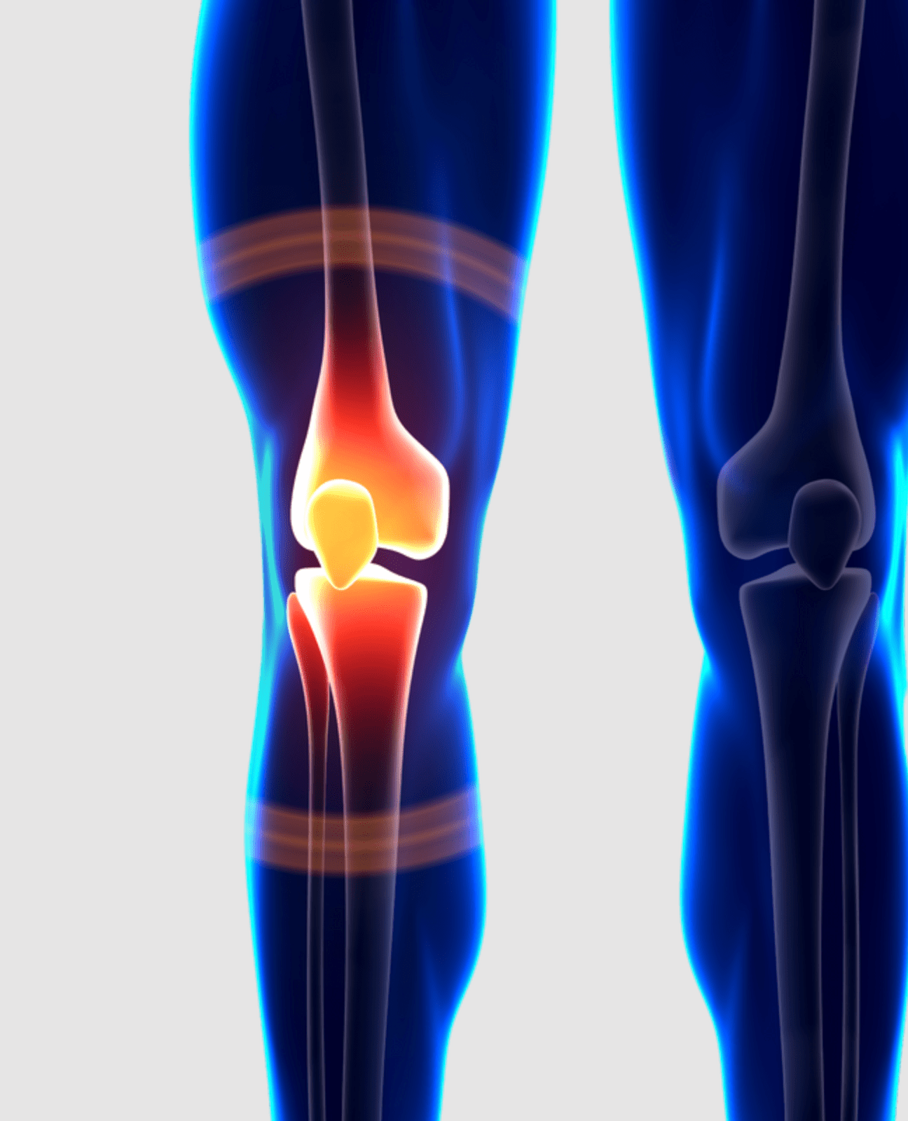 Joint Health Booster