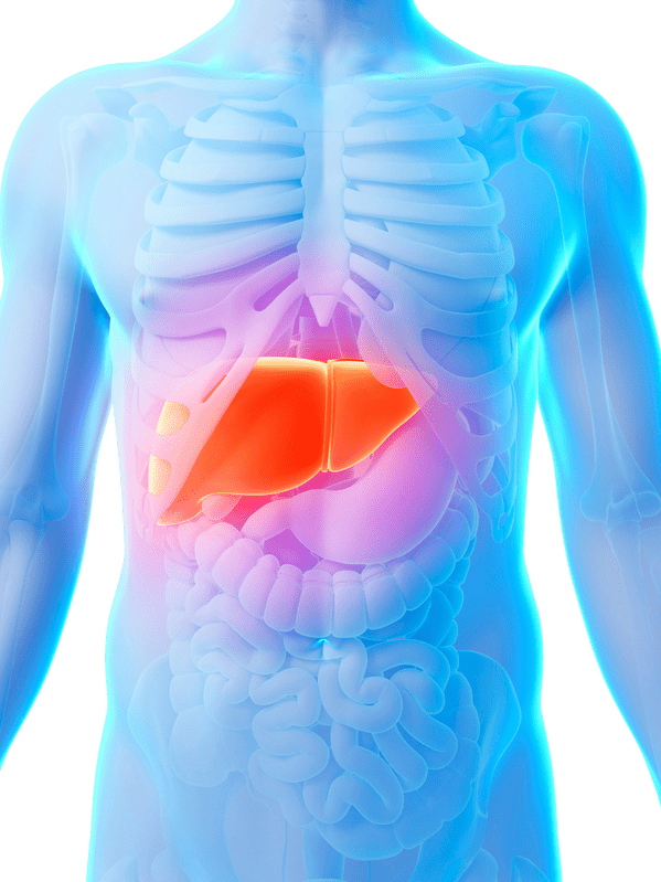 Liver Health Booster