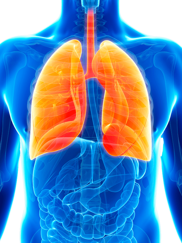Lung Health Booster