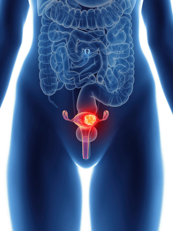 Reproductive Health Booster