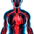 Anti - Plaque