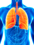 Lung Health Booster