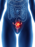 Reproductive Health Booster